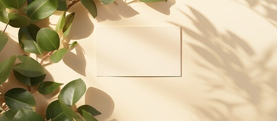 Poster - A mockup card with copy space and green leaves is placed on a beige background with sunlight shadow. It is a minimal business brand template for flat lay design, seen from a top view perspective.