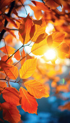 Wall Mural - beautiful autumn nature with vibrant and warm colors. generative ai illustrations