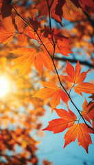 Poster - Beautiful autumn nature with vibrant and warm colors. Generative AI illustrations