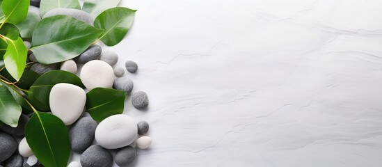 Wall Mural - White stones and green leaves placed on a marble background provide an ideal setting for body care and beauty treatments. The concept represents a spa, wellness, or massage salon, with a delicate