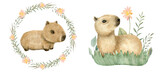 Fototapeta Pokój dzieciecy - Hand Drawn Watercolor Cute Animal Baby Capybaras Set