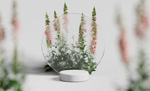 3D Display Podium. Pink Flower On White Background With Round Glass Frame. Nature Minimal Pedestal For Beauty, Cosmetic Product Presentation. Feminine Copy Space Template 3d Render