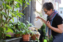 A Mature Woman Waters Plants On Her Balcony. She Has A White Watering Can And Terracotta Pots. She Likes The Gardening And The Nature.