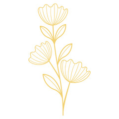 Wall Mural - Flower line Illustration