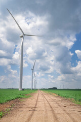 Wind Turbines in the Summer Cornfields