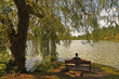 © tom - Man sitting on park bench with trees surrounding and a lagoon