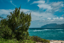 Kukuihoolua Island. Lāʻie Point State Wayside, Oahu, Hawaii. Casuarina Equisetifolia, Coastal She-oak, Horsetail She-oak, Beach Sheoak, Beach Casuarina Or Whistling Tree
