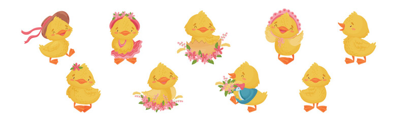 Wall Mural - Cute Yellow Duckling with Wing and Feathers Vector Set