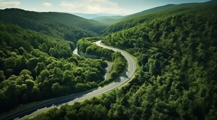 Wall Mural - Aerial aerial road winding path forest tree canopy