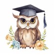 © olegganko - Cute watercolor owl in graduarion cap isolated