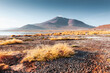 High-altitude lake and volcanoes in Altiplano plateau, Bolivia.