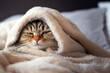 © Poprock3d - sick cat under blanket