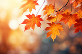 Fototapeta  - border of orange maple leaves on a branch with bokeh in the background, autumn vibes
