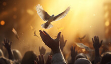 People Release Pigeons On The Background Of Sunset, Close-up Of Hands.