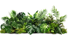 Tropical Foliage Plant Bush (Monstera, Palm Leaves, Calathea, Cordyline Or Hawaiian Ti Plant, Ferns, And Fir) Floral Arrangement Indoors Garden Nature Backdrop Made With AI Generative Technology