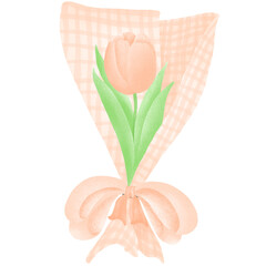 Wall Mural - Orange Tulip