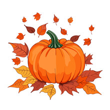  Orange Pumpkin Isolated Halloween And Thanksgiving Decoration