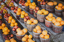 Navel Orange, Honeybell Oranges, Tomatoes, Mangos Carton Boxes On Shelves Display Roadside Market Stand In Santa Rosa, Destin, Florid, Homegrown Fruits Summer Harvest Stall