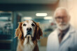 Dog In Front Of Defocused Man Veterinarian In Veterinary Clinic. Generative AI