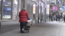 A Homeless Person Pushes Their Belongings Along A NYC Sidewalk