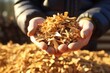 A handful of dry technological wood chips. Waste from the woodworking industry, fuel and raw materials for heating solid fuel industrial boilers on wood chips