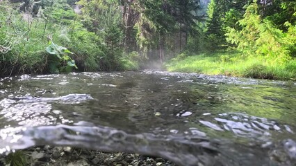 Fototapete - River with crystal clear water in the forest. Half underwater slow motion shot. Foggy morning in magical summer forest with stream