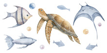 Sea Animals With Turtle And Fishes. Hand Drawn Set Of Watercolor Illustrations With Manta Ray And Tortoise On Isolated Background. Drawing With Marine Fauna For Design In Nautical Style.