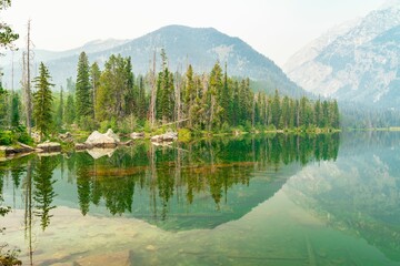 Sticker - Picturesque mountain and tree reflected in a serene lake in Grand Teton National Park, Wyoming