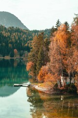 Sticker - an image of some water and trees near by on shore