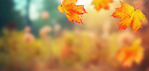 Wall Mural - autumn leaves on the fall blurred background .