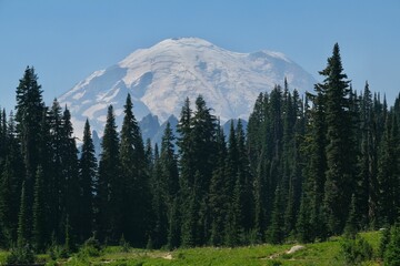 Wall Mural - an image of the mountain with forest around it and some green grass