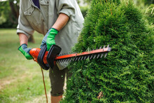 Woman Gardener Trimming Overgrown Bush By Electric Hedge Trimmer