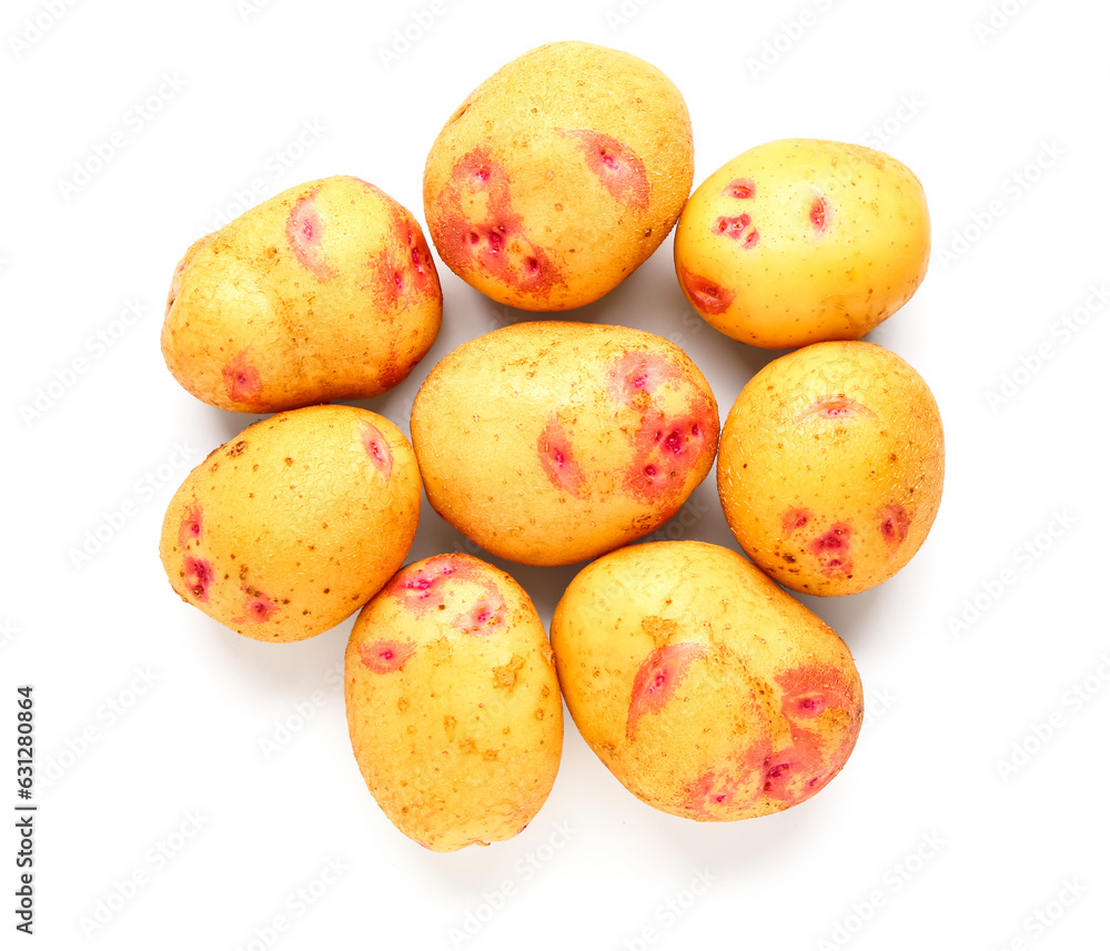 Many fresh raw potatoes on white background
