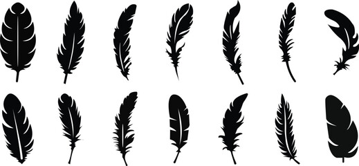 feather icons set of black vector isolated on white background . feather silhouettes logo template i