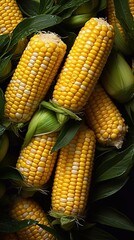 Wall Mural -  Close up of fresh corn seamless background with AI generative