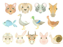 Large Watercolor Set Of Pets - Cat, Dog, Mouse, Rabbit, Fish, Snail, Horse, Cow, Sheep, Pig, Duck, Goose And Chicken, Highlighted On A White Background. Illustration. A Set OF ANIMAL FACES. For Design