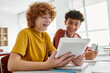 © LIGHTFIELD STUDIOS - Positive teenage schoolboy using digital tablet with friend during lesson in classroom at background