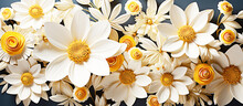  Flowers Wall Background With White And Yellow Blossoming Chamomile