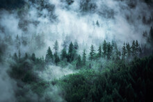 View Of Foggy Mountains. Forested Mountain Slope In Low Lying Cloud