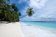 © Craig Parry - Tropical paradise