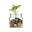 © AkuAku - Coins in a glass jar grow a plant, depicting investment concept, isolated on transparent backround.