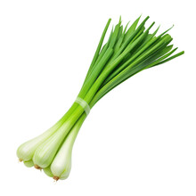 Fresh Green Onion Isolated On Transparent Background Cutout