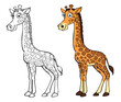 cartoon giraffe outline and coloring on a transparent background