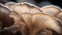 Highly Detailed Close-up Showcasing The Gills Of A Mushroom Under Natural Lighting. Generative AI