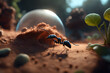 a novice explorer ant