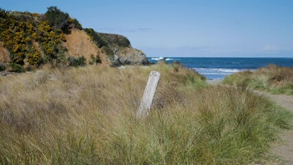 Wall Mural - Post in tall grass next to a beach on the north coast of california 