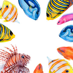 Sticker - Watercolor drawing square frame from colorful fish: royal angel, lionfish, golden antias, butterfly fish, surgeonfish and friedman fish on white background. Underwater picture for illustration
