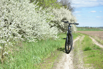 Wall Mural - mountain bike stands on a field path with green grass. cycling. Mountain bike. outdoor cycling activities. spring season, good weather. bicycle stands near a flowering tree