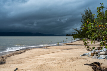 Sticker - tropical beach with palm trees on a rainy day