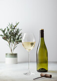 Fototapeta Lawenda - Bottle and glass of white wine and corkscrew on light background with plant.